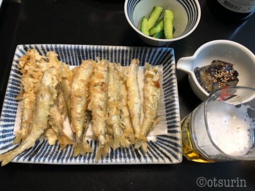 淡白でおいしいお手頃値段の魚チカを今夜の夕食に オツリナブログ