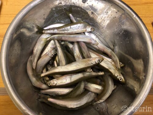淡白でおいしいお手頃値段の魚チカを今夜の夕食に オツリナブログ