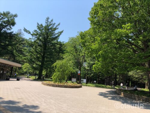 円山公園入口