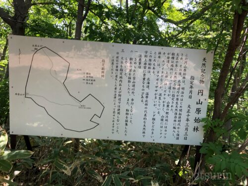円山登山地図