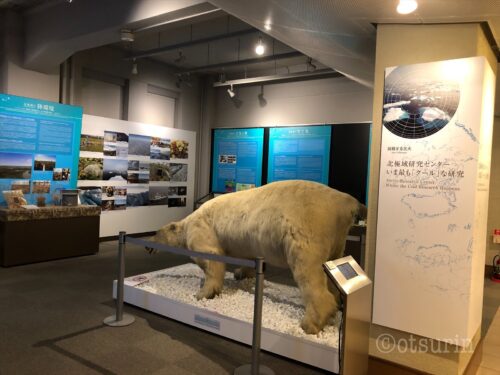 北大博物館北極観測センター