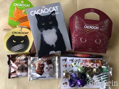 cacaocat7種類