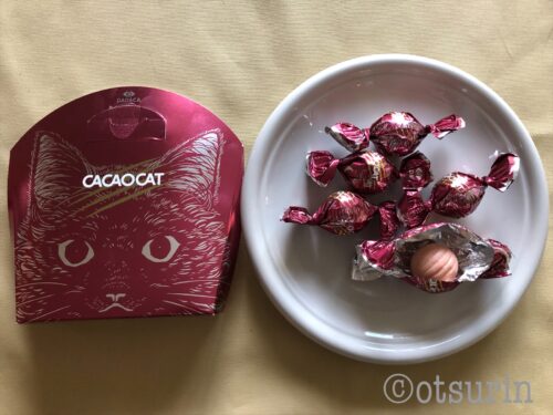 cocoacat箱入りイチゴ味5個