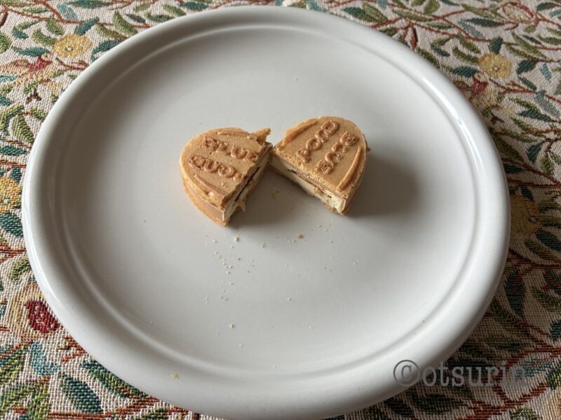 キャラメルクリスビー断面