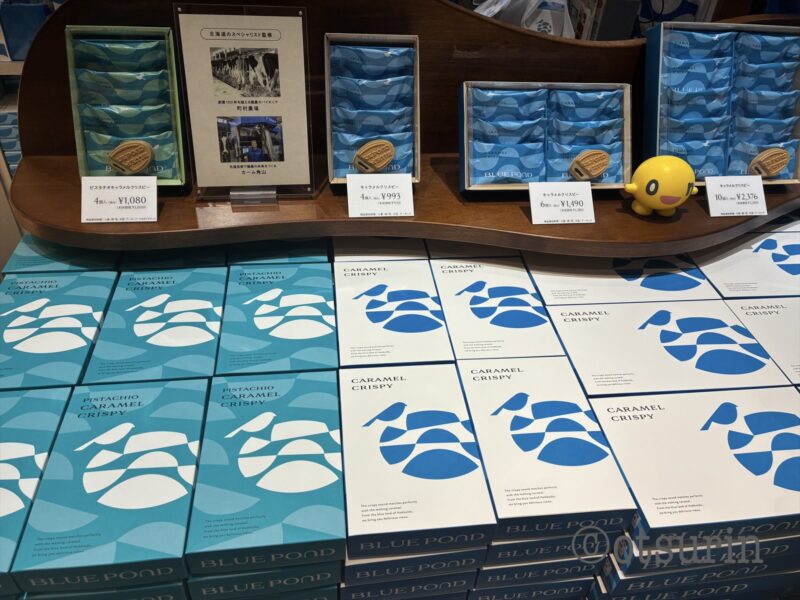 ブルーポンド店舗内商品