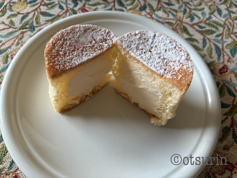 札幌農学校　ハリエット断面